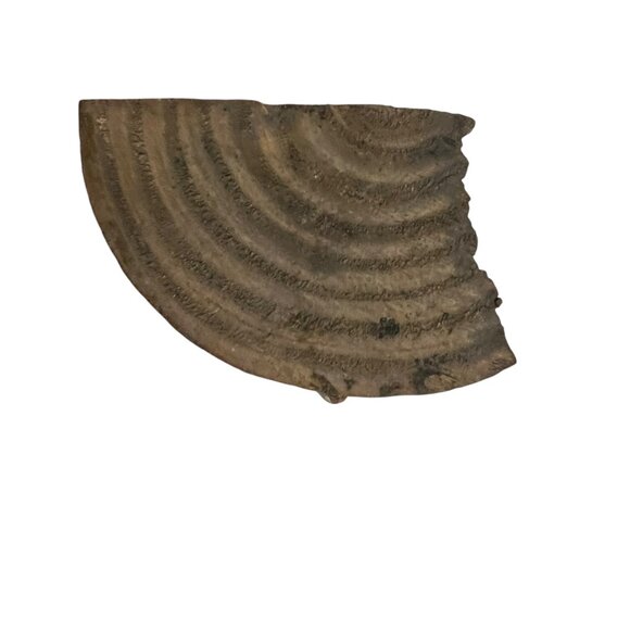 Rustic Carved Folk Art Whimsical Jungle Wooden Parrot Bird Sculpture On Log Base - Picture 6 of 7